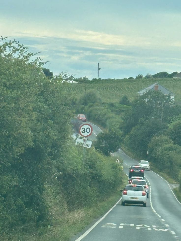 Long Summer Road Trip? Dive Into Engaging Podcasts & Audiobooks